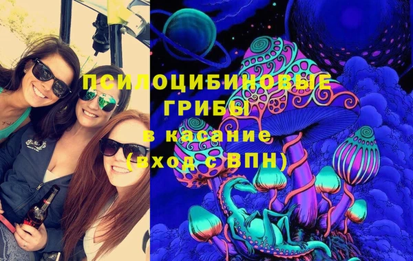 mix Надым