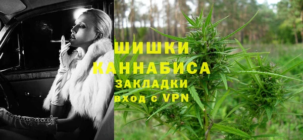 дурь Бикин