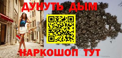 сатива Нальчик