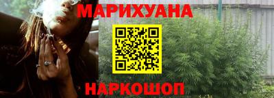 сатива Нальчик
