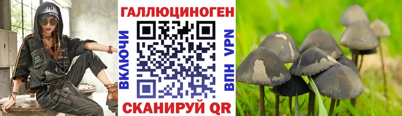 Псилоцибиновые грибы мицелий  наркошоп  Липецк 