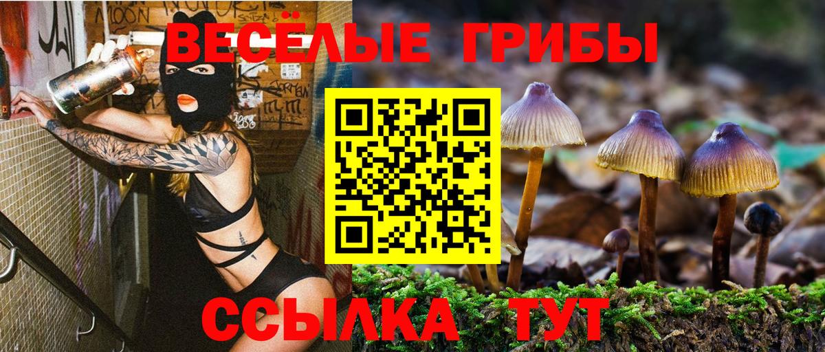 Псилоцибиновые грибы мухоморы  Вход с VPN  Липецк  Галлюциногенные грибы мицелий 