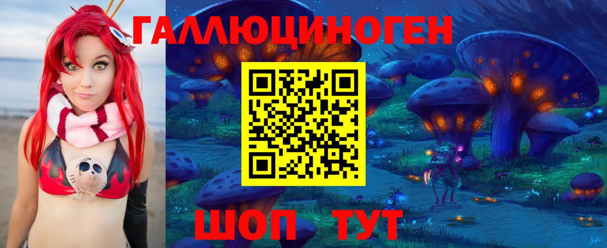 Псилоцибиновые грибы Psilocybe Липецк