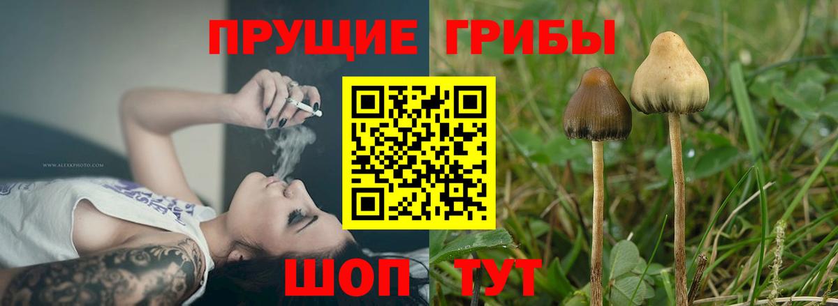 даркнет сайт  Липецк  Галлюциногенные грибы ЛСД 